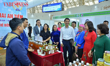 Bứt phá HTX dược liệu Việt Nam: Từ vùng trồng đến thị trường toàn cầu