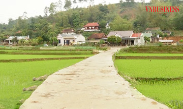Từ những vườn cây ăn trái tiền tỷ đến hành trình xây dựng nông thôn mới bền vững ở Sơn La