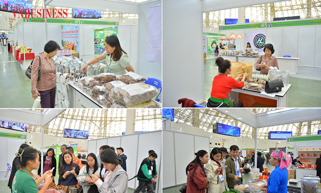 <p>
Hội chợ giới thiệu nhiều sản phẩm đặc trưng như trà thảo dược, tinh dầu, nguyên liệu dược liệu thô, thực phẩm bảo vệ sức khỏe và các sản phẩm đạt tiêu chuẩn OCOP.</p>