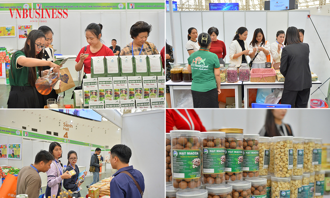 <p class="Normal">
Với quy mô gần 50 gian hàng, các HTX hoạt động trong lĩnh vực dược liệu đã mang đến Hội chợ lần này hàng trăm sản phẩm đặc trưng, phong phú về chủng loại, phản ánh tiềm năng và thế mạnh của kinh tế hợp tác trong phát triển dược liệu.</p>