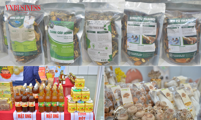 <p class="Normal">
Các sản phẩm ngành dược liệu mang nét đặc trưng về văn hóa và truyền thống của người Việt Nam, đạt tiêu chuẩn chất lượng cao, phù hợp với nhu cầu của người tiêu dùng trong và ngoài nước.</p><p> </p>