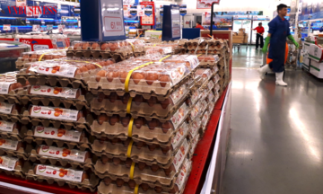 Doanh nghiệp chăn nuôi nội có vượt qua được ‘vòng vây’ khó khăn?