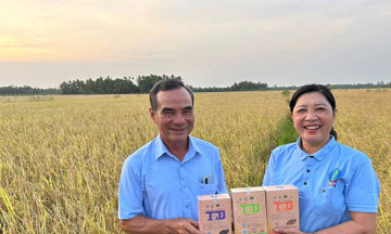 Giám đốc HTX U60 đem lúa hữu cơ &#039;lên sóng&#039; livestream