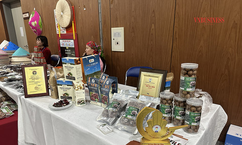 &#039;Thời gian vàng&#039; để nông sản Việt giữ chỗ tại EU trước làn sóng FTA mới