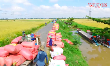 Khát vọng &#039;xanh và giàu&#039; trong nông thôn mới tỉnh An Giang