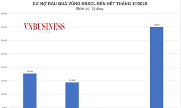 Dư nợ cho vay ngành rau quả khu vực ĐBSCL đạt 35.000 tỷ đồng
