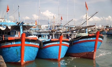 Sẽ thu hồi giấy phép tàu cá hết hạn, xử lý 100% trường hợp tồn đọng