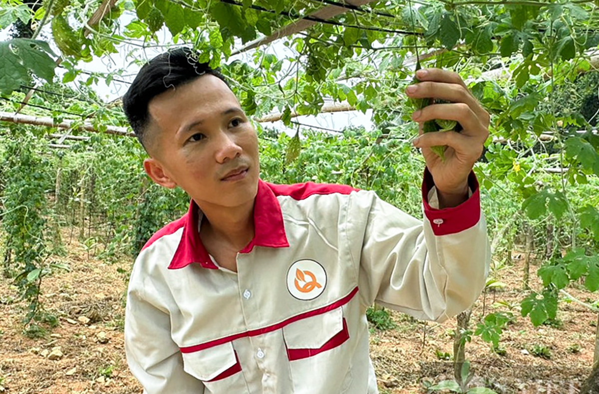 Hành trình vươn lên &#039;tỷ phú xanh&#039; từ làm nông nghiệp sạch