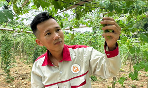 Hành trình vươn lên &#039;tỷ phú xanh&#039; từ làm nông nghiệp sạch