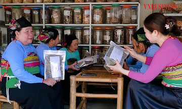 HTX thổi hơi ấm vào hành trình xây dựng nông thôn mới xứ Thanh