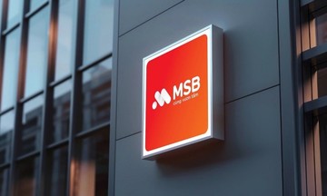 VNPT sắp đấu giá hàng trăm triệu cổ phiếu MSB, giá khởi điểm gấp gần 1,5 lần thị giá