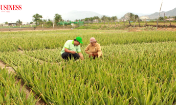 ‘Vua Nha đam’ đạt TOP 30 Doanh nhân trẻ Việt Nam tiêu biểu 2025