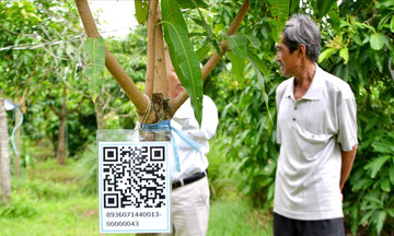 HTX ‘mua may bán đắt’ nhờ số hóa sản xuất và bán hàng