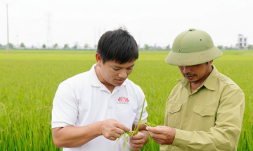 Kỹ sư &#039;thức giấc hạt giống&#039; và hành trình làm nông nghiệp xanh từ vùng chiêm trũng