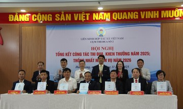 Liên minh HTX Việt Nam: Cụm thi đua số 2 đặt mục tiêu nâng cao chất lượng HTX, hướng tới năm 2026 nhiều dấu mốc lớn