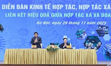 Xây dựng hệ sinh thái liên kết hoàn chỉnh giữa HTX và doanh nghiệp
