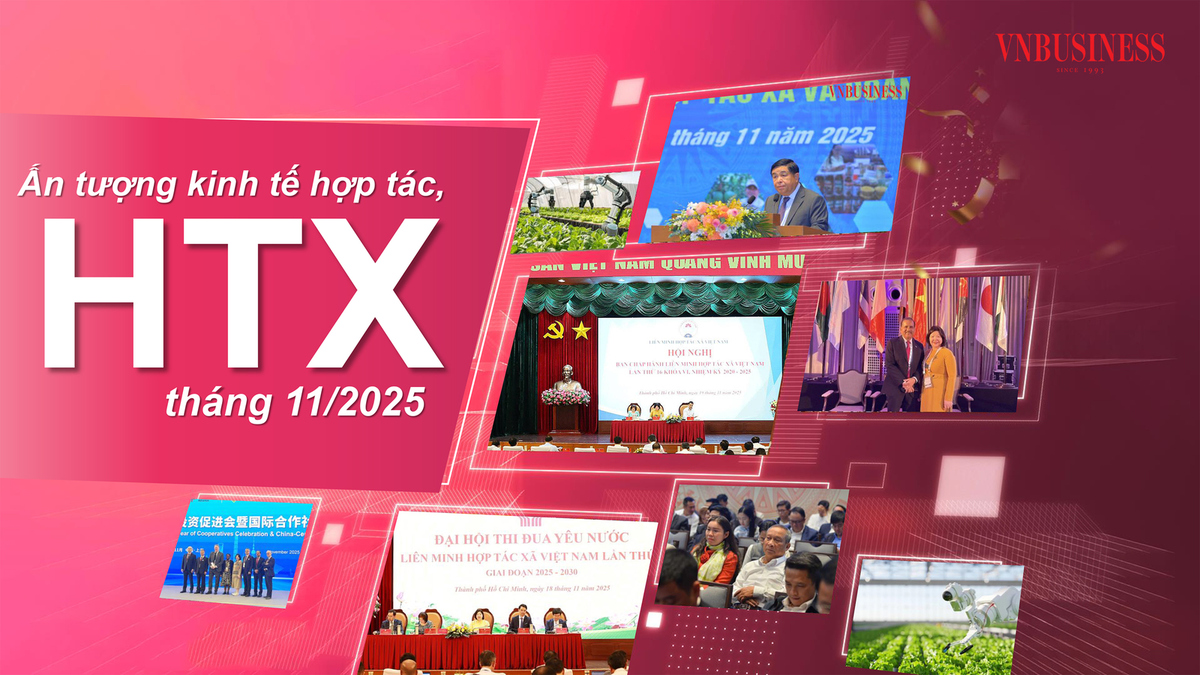 Kinh tế hợp tác, hợp tác xã tháng 11: Thúc đẩy chuỗi giá trị với doanh nghiệp, hướng ra 'biển lớn'