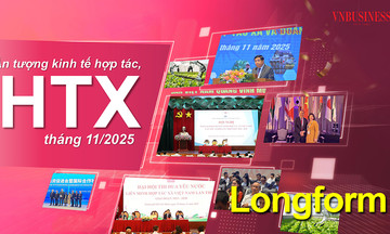 Kinh tế hợp
tác, HTX tháng 11: Thúc đẩy chuỗi giá trị với doanh nghiệp, hướng ra &#039;biển lớn&#039;