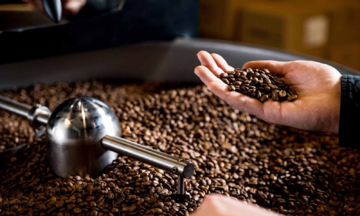 Nguồn cung hiếm hoi, giá cà phê tăng nhẹ 500 đồng/kg