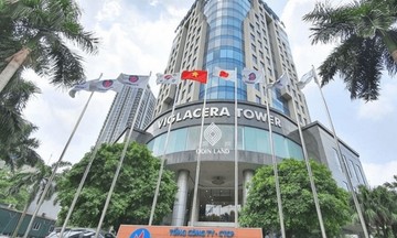 Viglacera bị truy thu thuế hàng trăm triệu đồng, lợi nhuận ‘tụt dốc’, cổ phiếu &#039;rơi&#039; nhanh