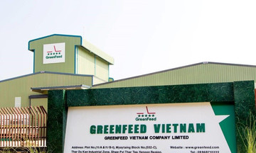 GreenFeed Việt Nam báo lãi 1.700 tỷ đồng trong 6 tháng đầu năm 2025