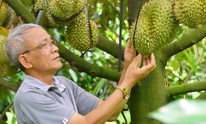 Ứng dụng khoa học công nghệ, &#039;chìa khóa&#039; cho trái cây Việt vươn ra thị trường quốc tế