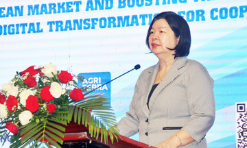 HTX &#039;mở đường lớn&#039; vào thị trường EU tỷ USD