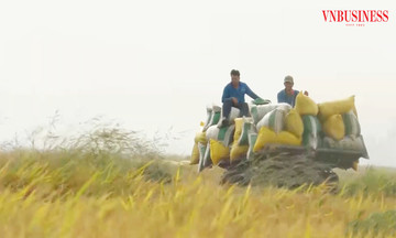 Từ phong trào &#039;Ngày thứ bảy&#039; đến mục tiêu nông thôn mới nâng cao ở Cần Thơ