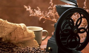 Vào vụ thu hoạch, giá cà phê giảm hơn 4.000 đồng/kg