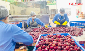 HTX &#039;phá vỡ ranh giới mùa vụ&#039; nhờ bắt tay đưa công nghệ cao vào sản xuất