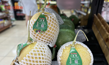 Xuất khẩu bền vững: Nội lực là &#039;chìa khóa&#039; để tiến ra toàn cầu