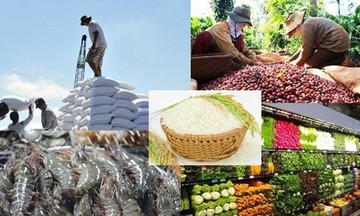 Xuất khẩu nông, lâm, thủy sản tăng mạnh tại nhiều thị trường, tiến gần mốc 70 tỷ USD