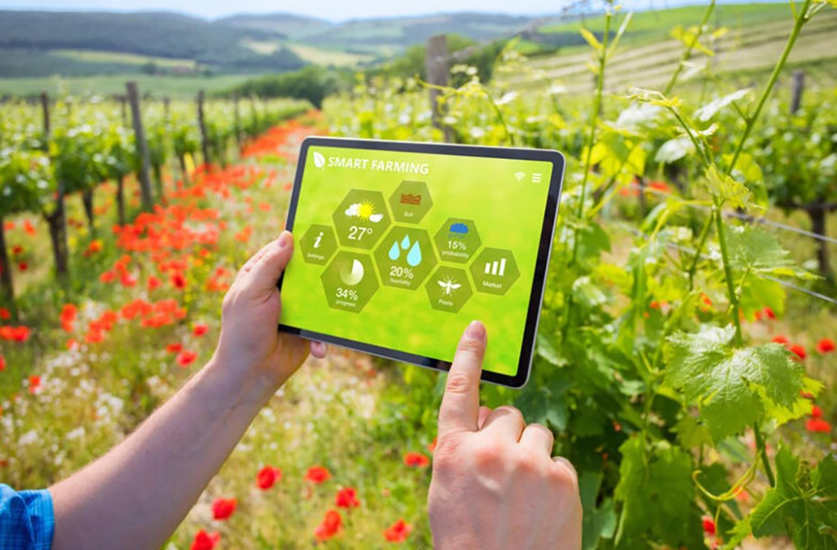 Chuyển đổi số ở Nghệ An, cơ hội mở ra hay thách thức dồn lại