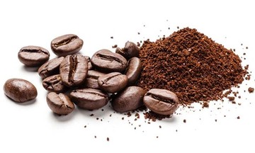 Doanh nghiệp thu mua cầm chừng, giá cà phê giảm 1.100 đồng/kg