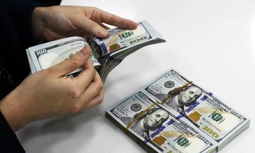 Tỷ giá USD/VND cuối năm 2025: Áp lực hạ nhiệt, chuyên gia dự báo mức tăng quanh 4%