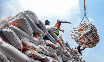 Philippines dỡ bỏ lệnh cấm nhập khẩu gạo từ tháng 1/2026, nhưng nhu cầu mua giảm sâu
