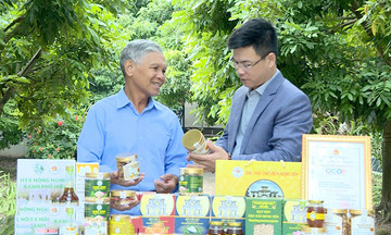 HTX mở cửa thị trường, bán hàng khắp cả nước nhờ tận dụng ‘sân chơi số’