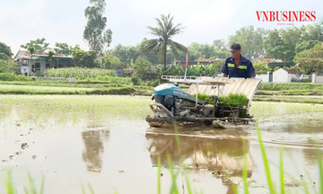 Công nghệ mở lối cho HTX: Từ &#039;cánh đồng không dấu chân&#039; đến chuỗi giá trị số hóa