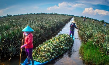 Khóm Cầu Đúc vươn mình nhờ mô hình liên kết 3 nhà