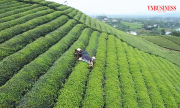 Nông thôn đổi mới, đời sống người dân xứ Tuyên liên tục được nâng lên