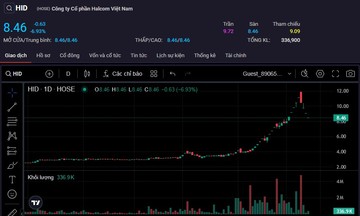 Cổ phiếu của Halcom Việt Nam tạo ‘mô hình cây thông’?