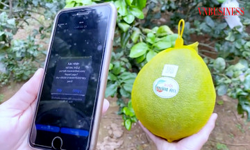 'C&aacute;ch mạng số' mở lối cho HTX trẻ ở Gia Lai ti&ecirc;u thụ h&agrave;ng trăm tấn n&ocirc;ng sản