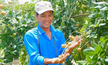 HTX kiến tạo nông thôn mới ở Cần Thơ