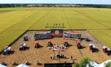 Quản trị rủi ro trong HTX: Chuyển từ thế bị động sang chủ động kiến tạo giá trị