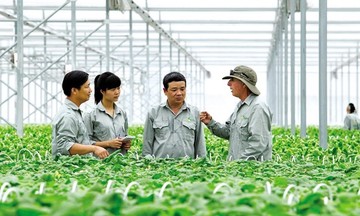 Đổi mới hoạt động tư vấn ph&aacute;t triển HTX: Khi l&yacute; thuyết quản trị cần đi đ&ocirc;i với thực tiễn thị trường