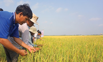 X&acirc;y dựng n&ocirc;ng th&ocirc;n mới bền vững từ ph&aacute;t triển HTX