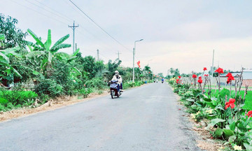 N&ocirc;ng th&ocirc;n mới Vĩnh Long nh&igrave;n từ quyết t&acirc;m 'muốn đi xa phải đi c&ugrave;ng nhau'