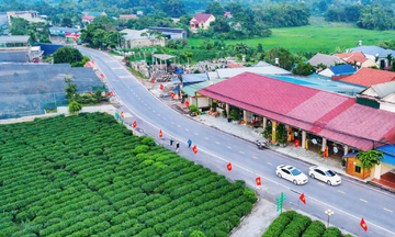 Thay đổi tư duy để ph&aacute;t triển kinh tế n&ocirc;ng th&ocirc;n ở Thái Nguy&ecirc;n