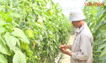 HTX ứng dụng c&ocirc;ng nghệ, đ&aacute;nh thức những v&ugrave;ng đất kh&oacute; ở L&acirc;m Đồng