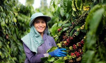 Kinh tế tuần ho&agrave;n: Động lực th&uacute;c đẩy chuyển đổi xanh v&agrave; tăng trưởng bền vững